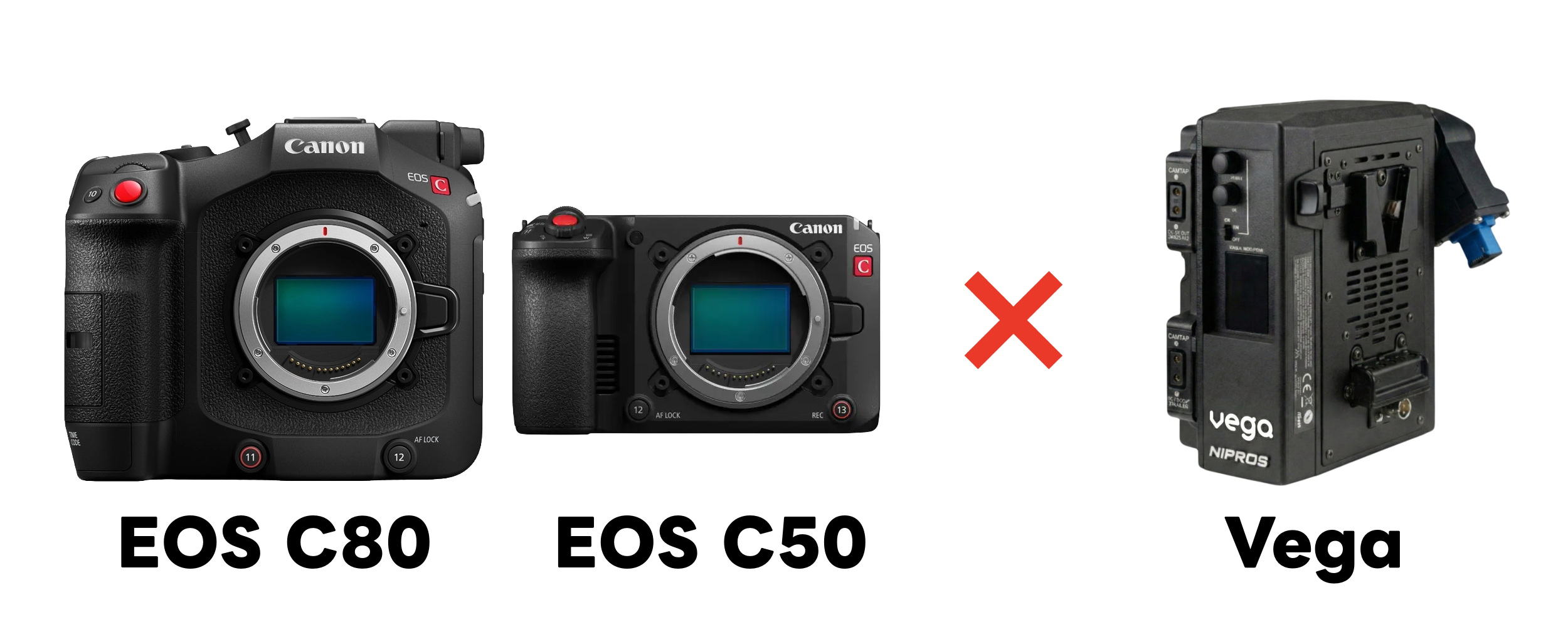 Canon EOS C80 / C50 × NIPROS Vega
